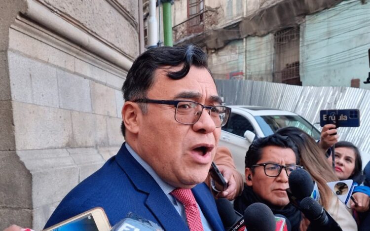 El jefe de bancada del MAS en Diputados, Jerges Mercado.