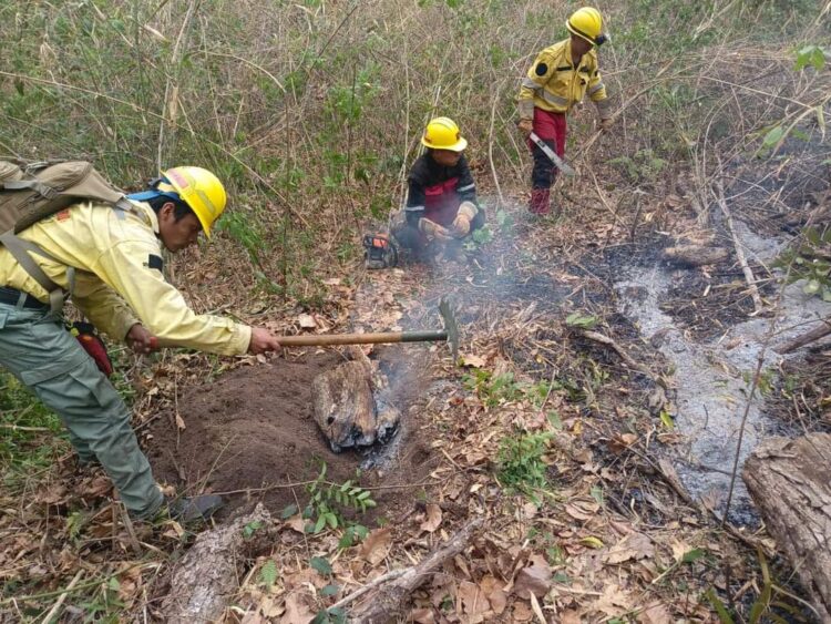 Siguen las tareas de prevención de incendios. Foto: Archivo.