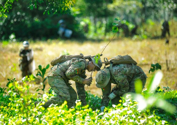 Efectivos de la Fuerza de Tarea Conjunta (FTC) Chapare erradican cultivos de coca ilegal.