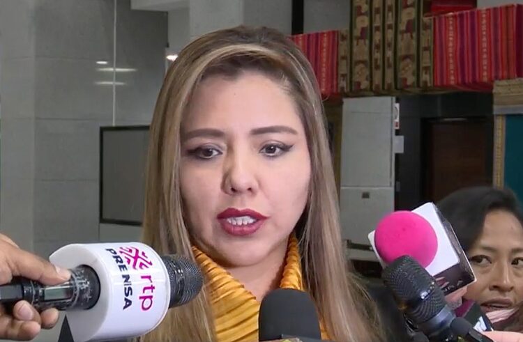 La viceministra de Comunicación, Gabriela Alcón.
