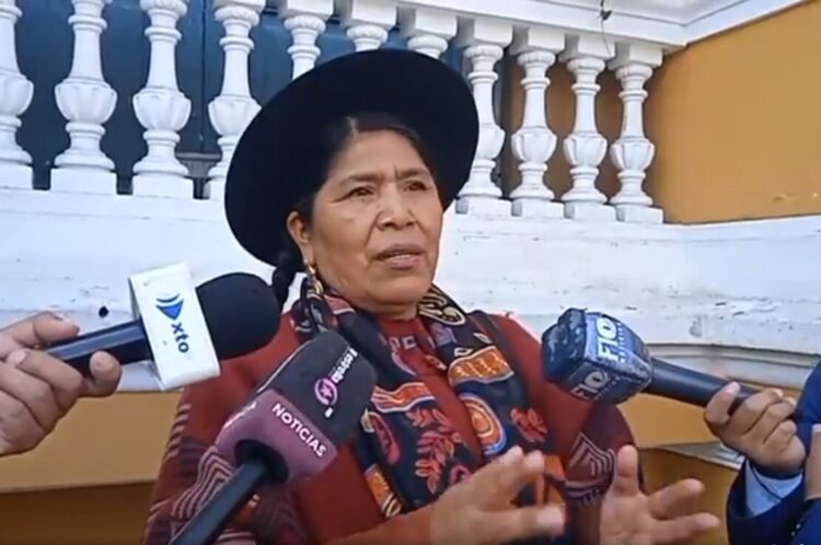 La segunda vicepresidenta de la Cámara de Diputados Toribia Lero (CC).
