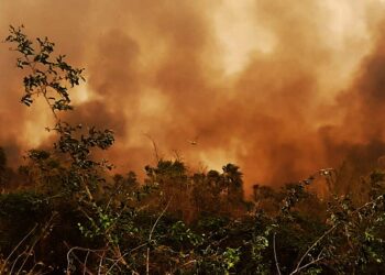 Los incendios forestales suelen presentarse en el país desde mediados de gestión. Foto: APG-Archivo.