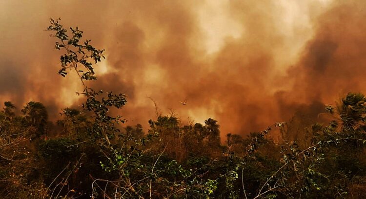 Los incendios forestales suelen presentarse en el país desde mediados de gestión. Foto: APG-Archivo.