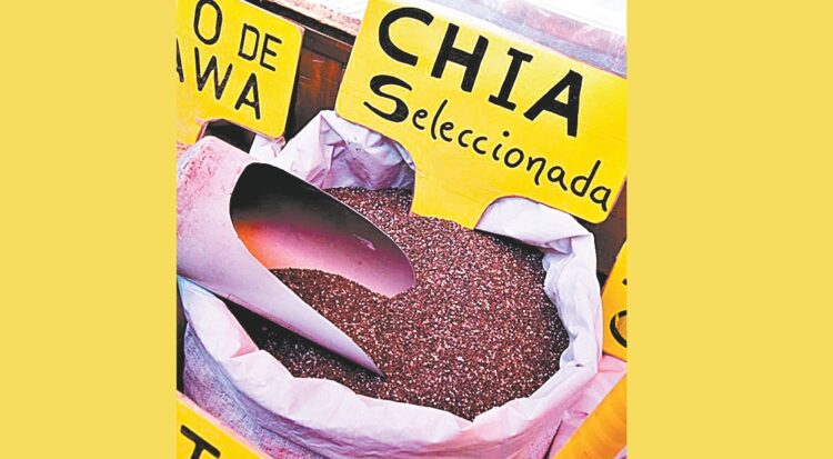 chía