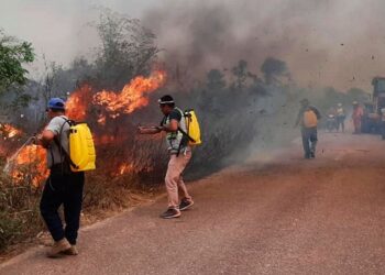 Los incendios forestales se presentan en el país durante la época seca. Foto: Referencial-Archivo.