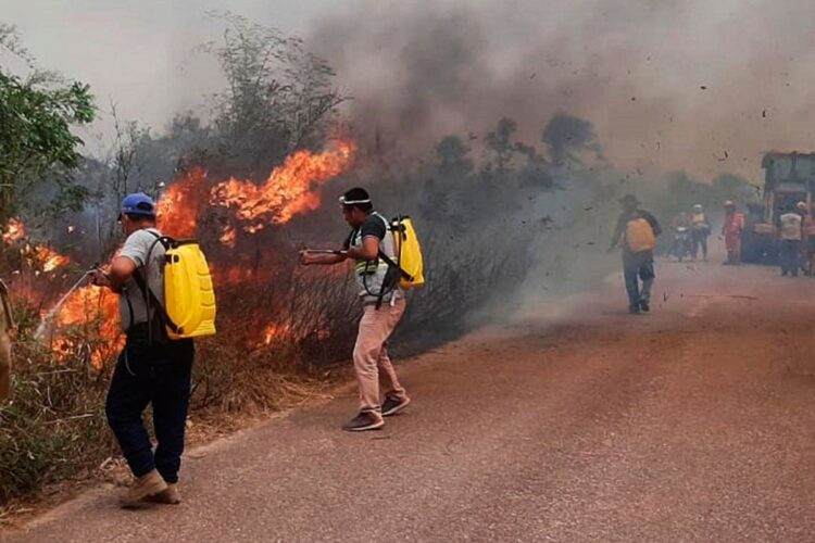 Más de 10 millones de hectáreas fueron afectadas el año pasado. Foto: Archivo
