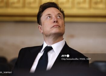 Elon Musk fue vetado por la justicia