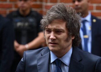 Javier Milei invitó a invertir en la criptomoneda