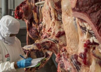 Las exportaciones de carne de res fueron restringidas.