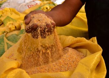 precio