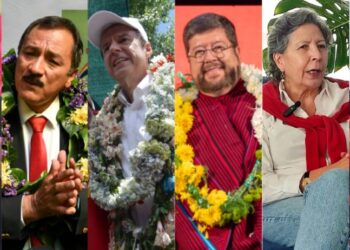 Hay ocho precandidatos para las elecciones de agosto.