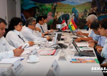 Reunión entre el Senasag y Senasa de Perú.