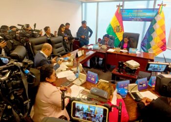 Sesión de la Comisión de Constitución de la Cámara de Diputados.