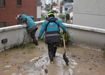 Personal municipal acudió al lugar. Foto: AMUN.
