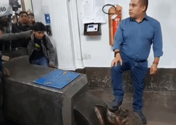 El diputado Alberto AStorga pisa un busto de Evo Morales.