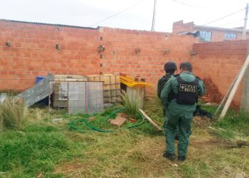 Los combustibles incautados por la Policía Boliviana.