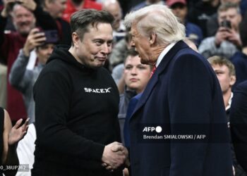 Musk es el principal asesor de Trump