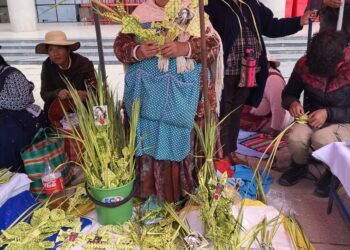 Los pequeños productores son los más beneficiados. Foto: Archivo.