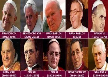 INFO_PAPAS.JPG
