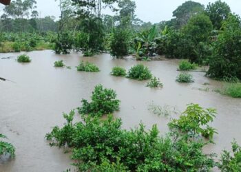 Las lluvias causaron una crecida de las aguas del río Sacta, en Cochabamba. Foto: Ministerio de Defensa.