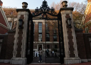 harvard.jpg