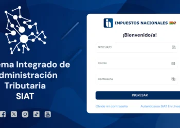 El sistema de Impuestos en línea. Foto: Captura SIAT.