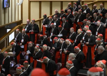 Los cardenales en su último encuentro preparatorio del cónclave/Vatican News