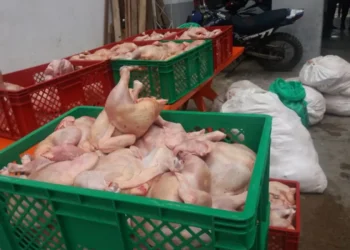 pollo.jpg