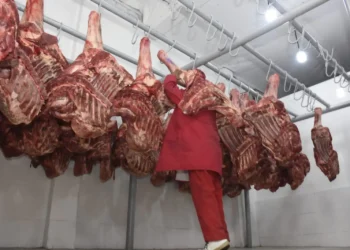 carne