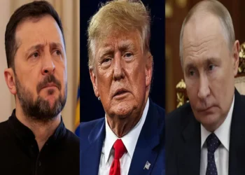 Trump busca alcanzar un acuerdo con Putin y Zelenski/ AFP