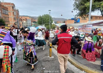 Al menos 70 objetos de la fauna silvestre se comisaron en el Gran Poder. FOTO.GADLP