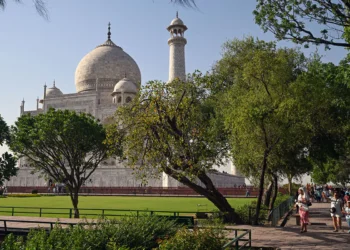 india.jpg