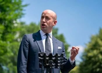 stephen_miller.jpg