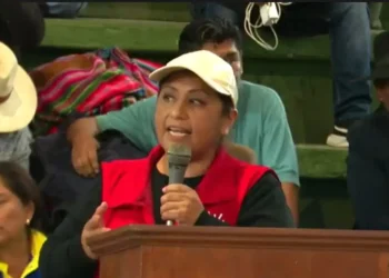 Fanny Nina, en el ampliado de Evo Pueblo, en Lauca Ñ.
