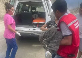 El niño rescatado en el accidente de Caranavi. Foto: RRSS.