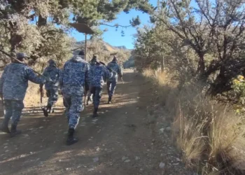 Patrullan en varias zonas/ Min. de Defensa