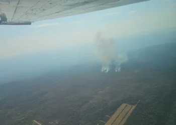 Se identificaron incendios en zonas aisladas e inaccesibles/Min. Defensa