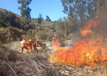 Los incendios se combaten con operativos por tierra y aire. Foto: Ministerio de Defensa.