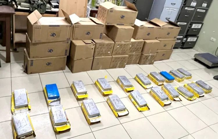 Los paquetes de droga hallados en cajas de avena/FELCN