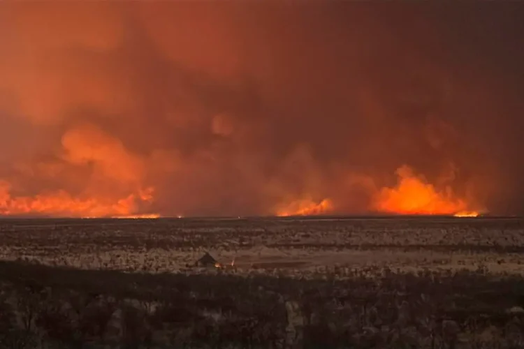El fuego devoró un tercio del parque nacional de Etosha/AFP