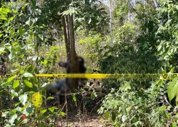 La pareja falleció atada a un árbol. Foto: Primera Plana.