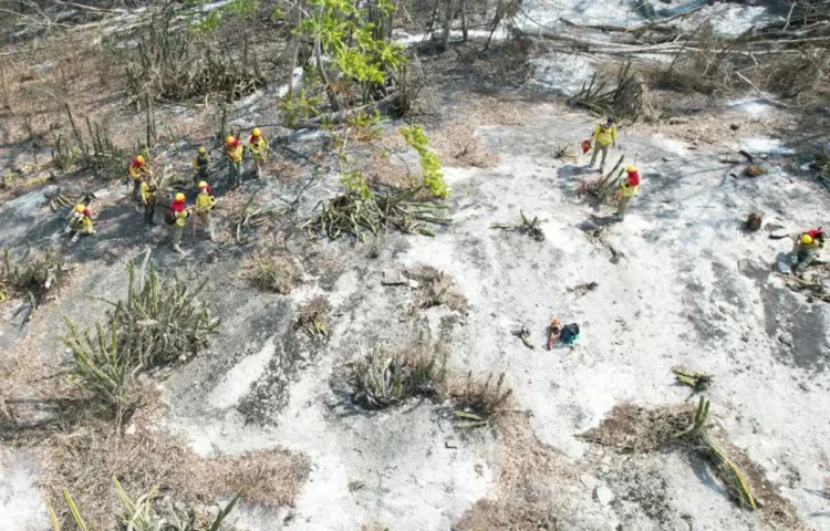 incendios_santa.jpg