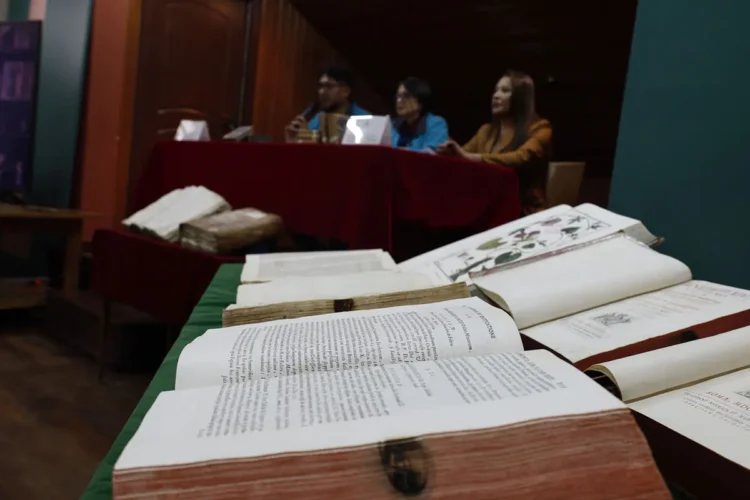 libros.jpg