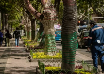 Personal de Alumbrado Público comenzó con la instalación de luces y adornos navideños en el centro de la urbe cocbabambina. FOTO: GAMC
