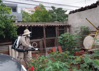 Se intensifican las campañas de fumigación para evitar la propagación del dengue. FOTO: Ministerio de Salud