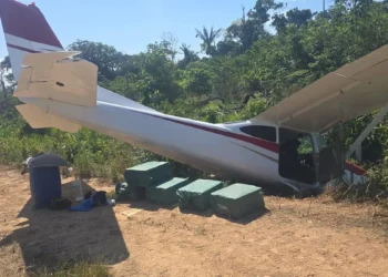 La avioneta y la droga incautada/FELCN