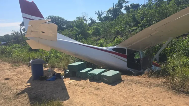 La avioneta y la droga incautada/FELCN