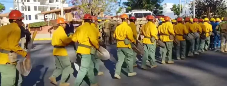 Efectivos militares realizaron tareas preventivas. Foto: Captura Ministerio de Defensa.