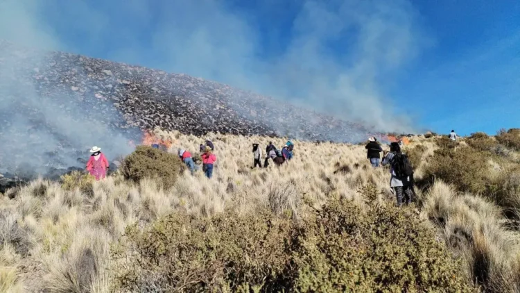 El incendio forestal afecta a plantas nativas. Foto. Potosí Digital.