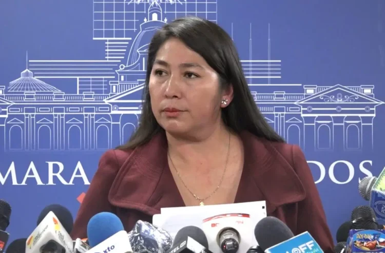 La diputada Rosario García (MAS). (Foto: Asamblea).